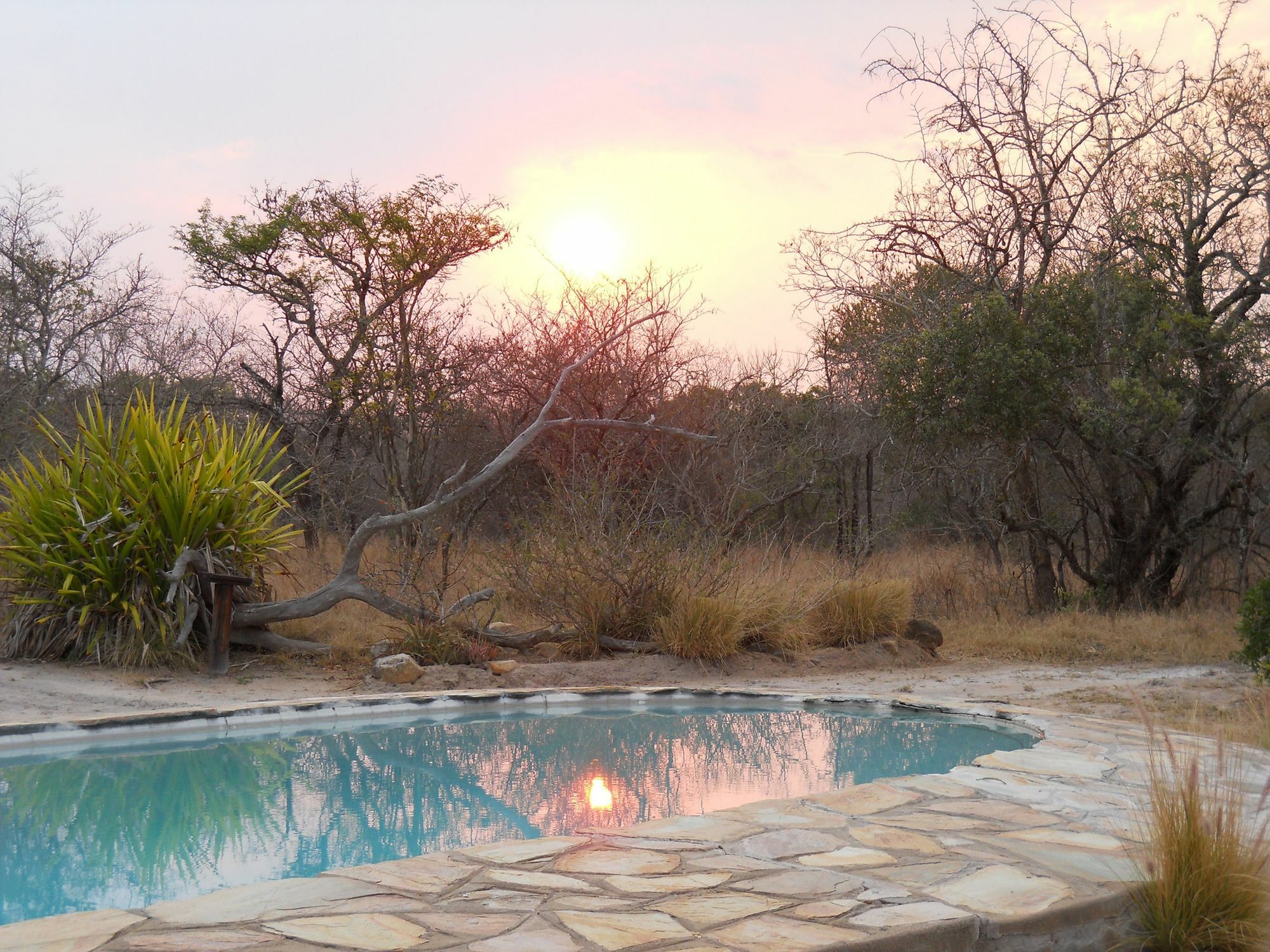 Maduma Boma Game Conservancy Hoedspruit Exterior photo